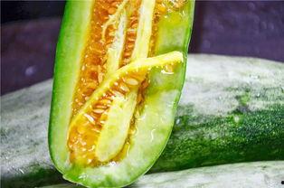 威海吃瓜网红有哪些人